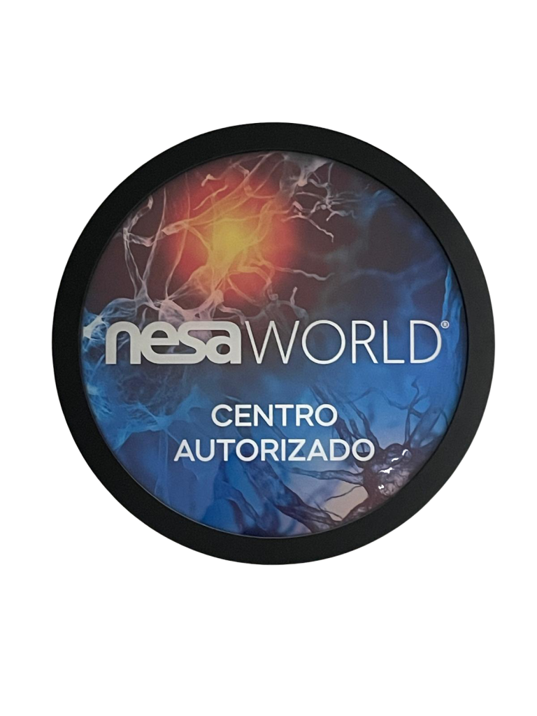 logotipo de NESA World